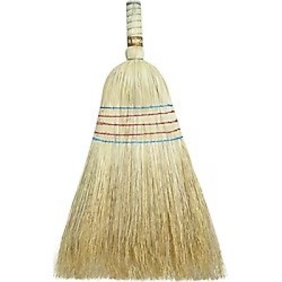 Sapsız Darı Süpürgesi