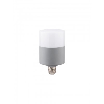 Led Ampül Oval Dekoratif 20W